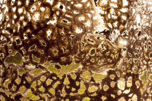 la-grande-robe-pate-a-papier 6